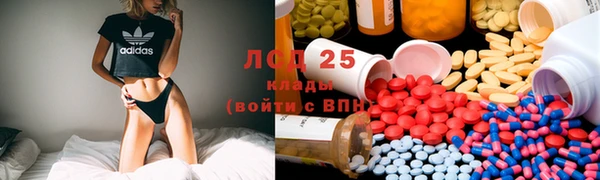 ГАЛЛЮЦИНОГЕННЫЕ ГРИБЫ Баксан