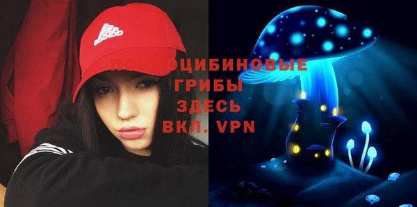 ГАЛЛЮЦИНОГЕННЫЕ ГРИБЫ Балабаново