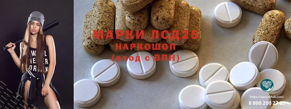 ГАЛЛЮЦИНОГЕННЫЕ ГРИБЫ Баксан